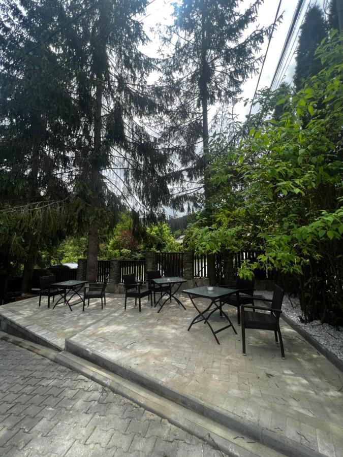 Chalet Minut Ватра-Дорней Экстерьер фото